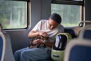 Calm owner soothes anxious cat on lap, holding gently during train ride. Animal behavior in trip photo