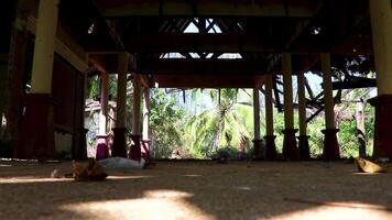 Discover abandoned broken buddhist temple destroyed by the tsunami in Khao Lak Thailand. video