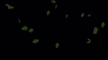 Autumn Leaves Background - Loopable Fall Animation video