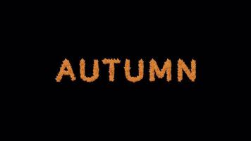 Seamless Loop Animation for Autumn Sales and Promotions video