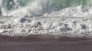Tight Shot Of Ocean Waves On Sand Beach The Zoom Out To Follow Bird Running Away video