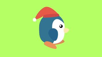 Animated Penguin isolated green screen background video