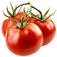 Plump ripe tomato a shiny red surface, delicately covered in tiny water droplets, highlighting its freshness juiciness. png