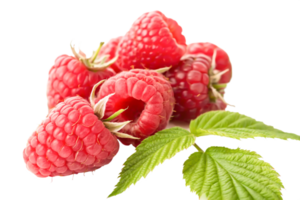 Fresh Raspberries with Green Leaves Close-up Macro Photography of Ripe Berries png