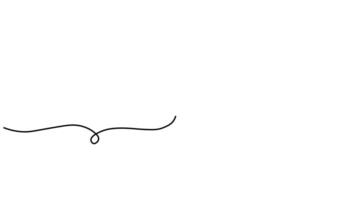 dove with olive branch drawn with one line animation. easter animation video
