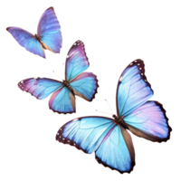 Three Vibrant Blue Morpho Butterflies in Flight, Isolated on White Background png