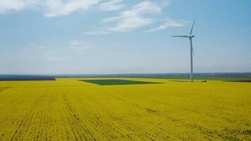 Aerial view from a flying drone of a windmill in yellow colza fields. video
