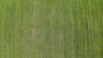 aerial view of rows of solar panels installed on a vast field video