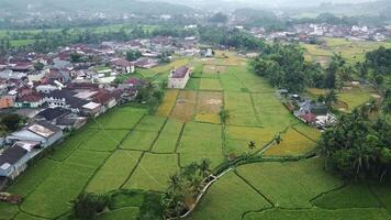 Afternoon view of agricultural fields from drone view video