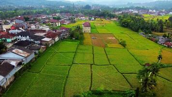 Top-to-Bottom Rice Fields with Aerial Drones video