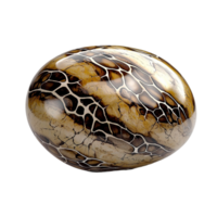 Exotic patterned egg unique textured surface istic intricate design png
