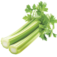 Fresh green celery stalks leafy tops looking crisp healthy perfect for nutritious meals snacks png