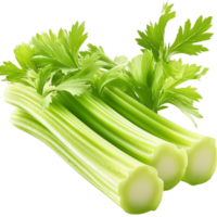 Fresh green celery stalks leaves symbolizing health nutrition natural freshness png