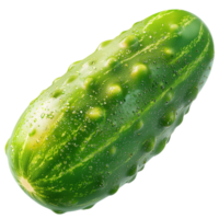 Fresh green cucumber a bumpy textured surface lying diagonally on a clean white looking healthy png