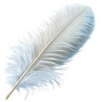 Soft white feather delicate strs symbolizing lightness elegance purity the charm of natures beauty png