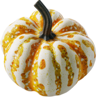 Beautiful white pumpkin golden accents intricate textures designed for a stylish decorative autumn centerpiece png