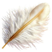 Soft fluffy white feather with subtle golden highlights and intricate textures floating gracefully png