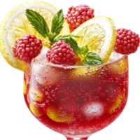 Refreshing fruit cocktail with raspberries and citrus slices served in a glass filled with ice png