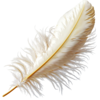 Fluffy white feather floating gracefully symbolizing purity softness elegance and the lightness of natures delicate elements png