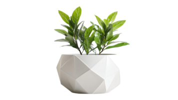 Empty White Clay Geometric Planter Pot Isolated on White Background png