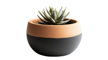 Elegant two-tone clay pot with a geometric design isolated on transparent background png