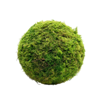 Moss ball close up on a plain black backdropisolated on transparent background png