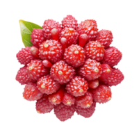 Close up of lychee fruit on a black background isolated on transparent background png