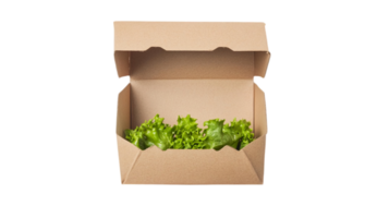 Fresh green lettuce in a cardboard box on a background isolated on transparent background png