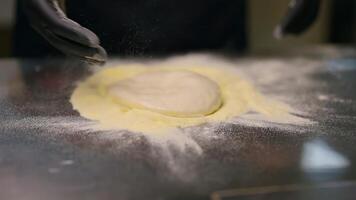 Chef rolling out pizza dough. Italian pizza chef forming the dough on a floured surface video