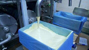 Processing of butter at dairy plant. Butter pouring from the pipe into the container video