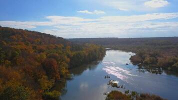 Stunning river and forest in autumn. Flying over the river and forest during autumn video