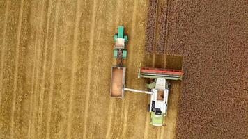Combine harvesting wheat and filling tractor trailer. Top view of agricultural machines working in farmland during harvesting video