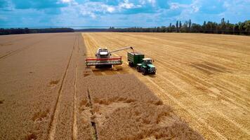 Combine and tractor harvesting on wheat field. Aerial shot of combine loading off corn grains into tractor trailer video