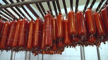 Smoked Cheese In Package. Processed cheese after smoking suspended on rope on a metal trolley in milk factory video