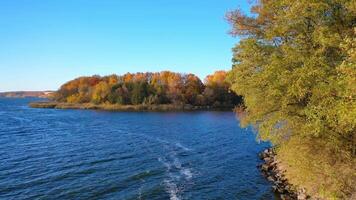 Autumn forest and river from air. Autumn in the wild on the background of the forest and the river video