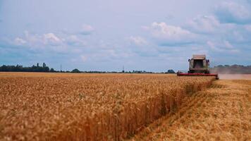 Combine Agriculture Machinery Technology. Grain harvester working in field gathering crop of wheat video