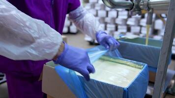Filling of butter container. Butter poured into box at the creamery video