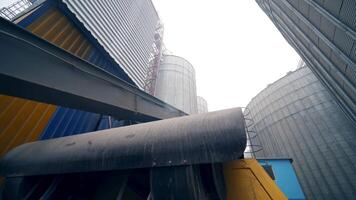 Grain processing machine. Grain processing machine video