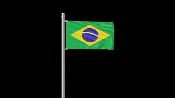 Animation of the Brazil Flag Waving on a Pole video