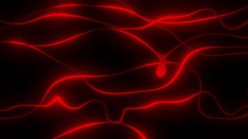 Red color glowing abstract wavy lines abstract design loop able dark geometrical background video