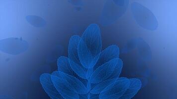 Royal blue color multiple moving leafs gradient design loop able floral background video