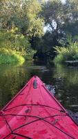 Kayak floating on the river between trees in the forest in summer, ducks flying video