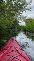Kayak floating on a river overgrown with algae and grass, river among trees and grass video