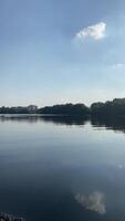 Kayak floating on a calm and quiet lake in the middle of a forest on a sunny hot day video
