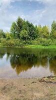 Calm clear river along bushes and trees in summer video