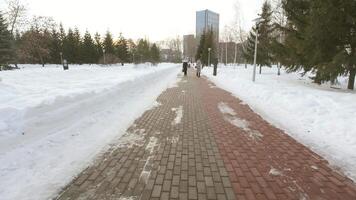 A person walking down a snow covered path video