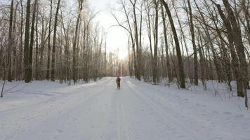 A person is walking down a snow covered path video