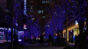 A night timelapse of walking people at the illuminated street in Tokyo video