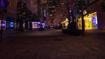 A night timelapse of walking people at the illuminated street in Tokyo video