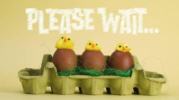 please wait stop motion animation chickens and eggs easter yellow background video